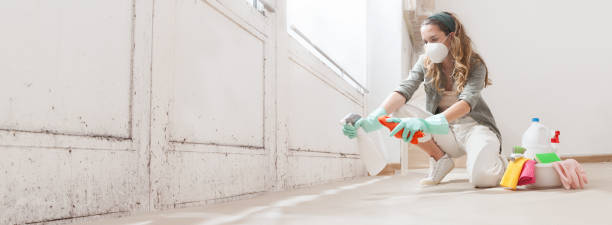 Environmental Consulting for Mold Prevention in Rolla, MO